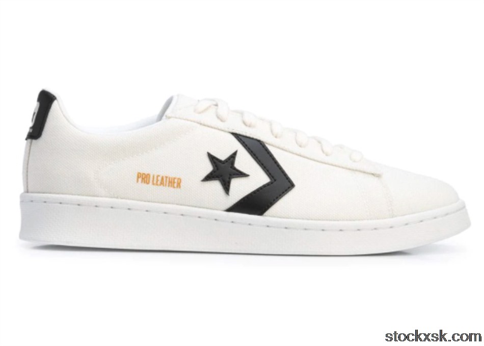 Converse Pro Leather Low Court Daze Egret170752C