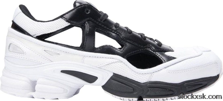 adidas RS Replicant Ozweego Raf Simons Black Cream (Special Edition with Socks)B22512